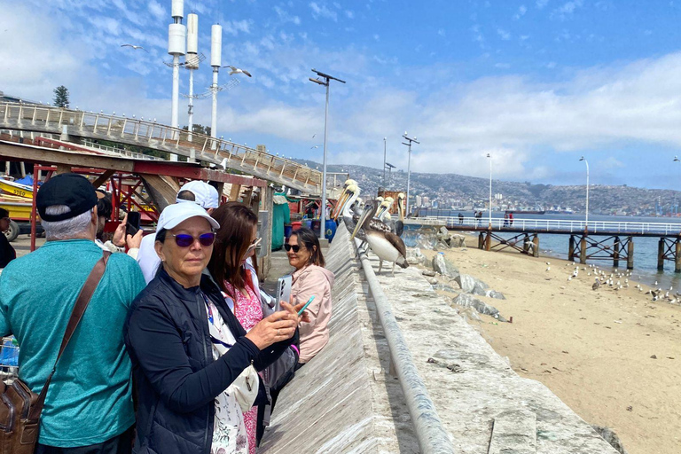 Casablanca: Private Wine Tour at Estancia El Cuadro, Valparaíso, Viña del Mar