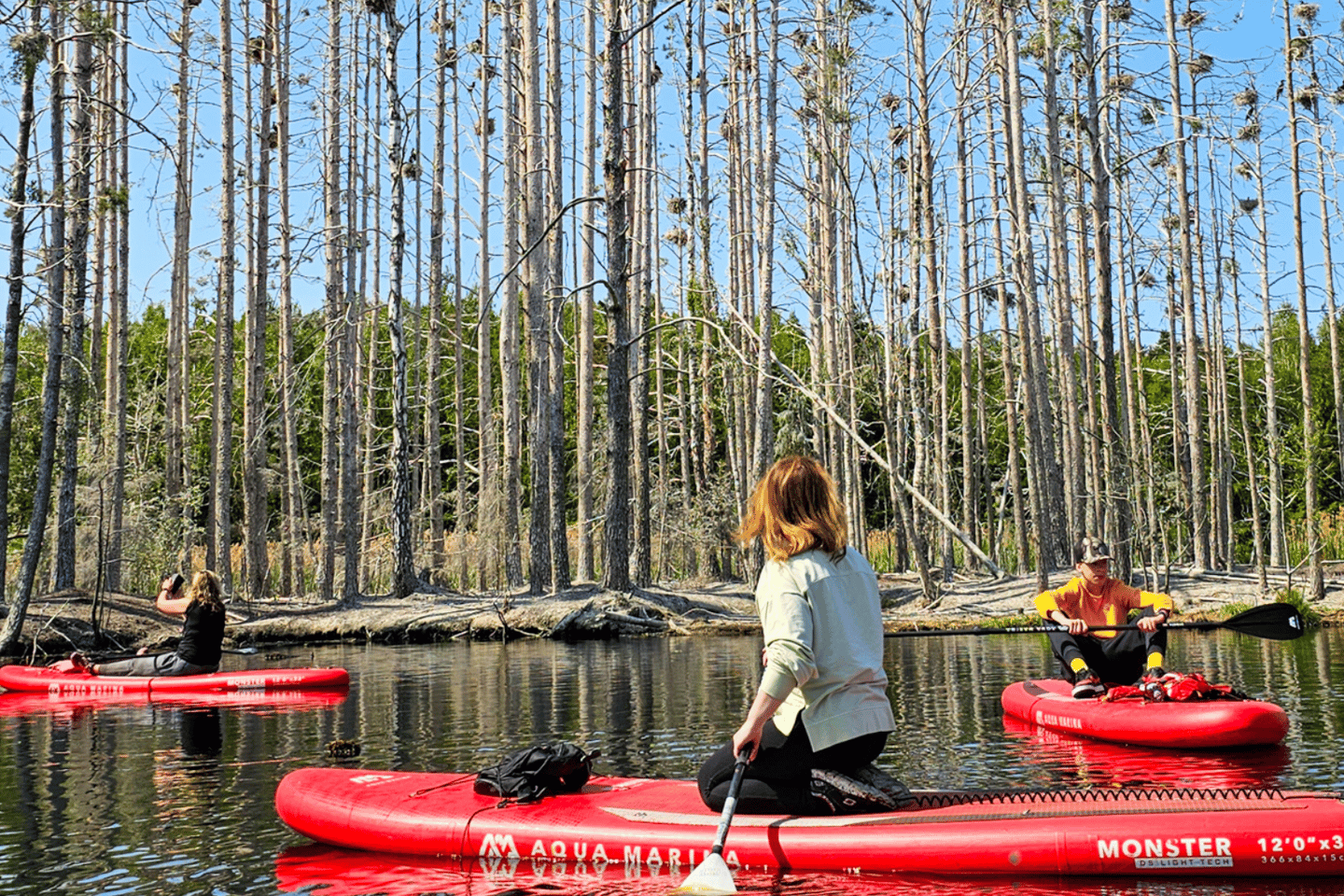 Da Riga: tour nella giungla lettone con paddle board