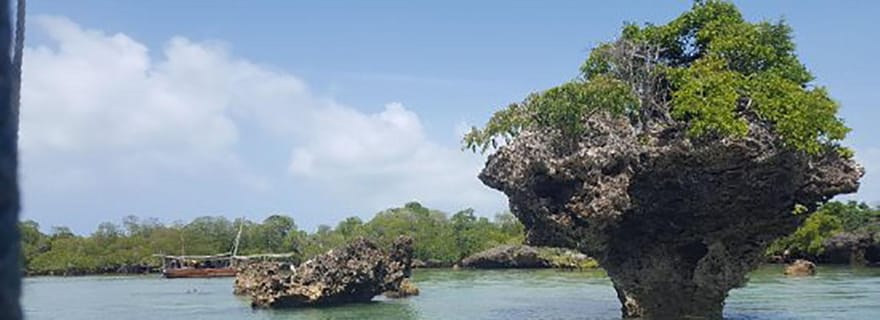 Zanzibar : Safari Blue, l'aventure maritime traditionnelle en boutre.