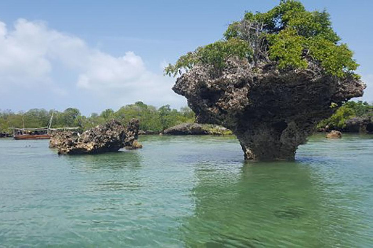 Zanzíbar: Safari Azul, la Aventura Tradicional en Dhow Marino.