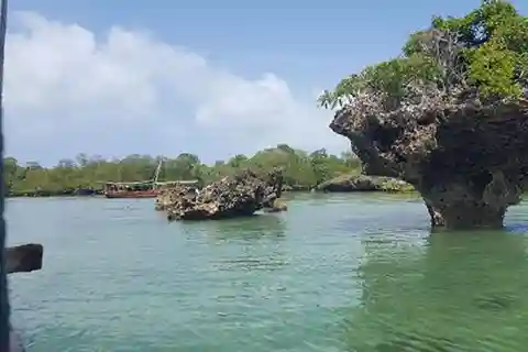 Zanzibar: Safari Blue, l'avventura in mare con il tradizionale Dhow.