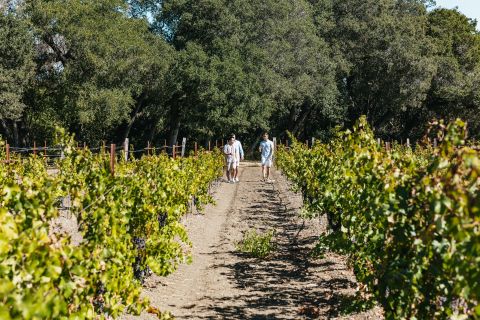 San Francisco: Excursión de medio día a la región vinícola con degustaciones