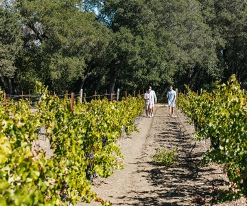 San Francisco: Half-Day Wine Country Excursion with Tastings