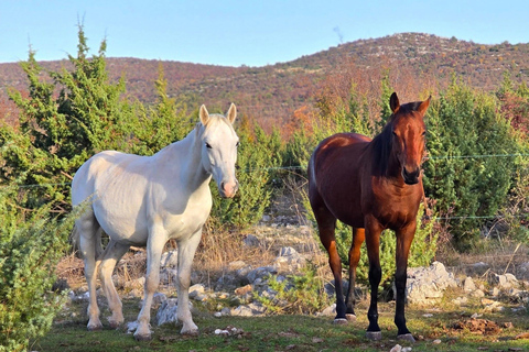From Split: Imotski Lakes & Dalmatian Hinterland Day Trip