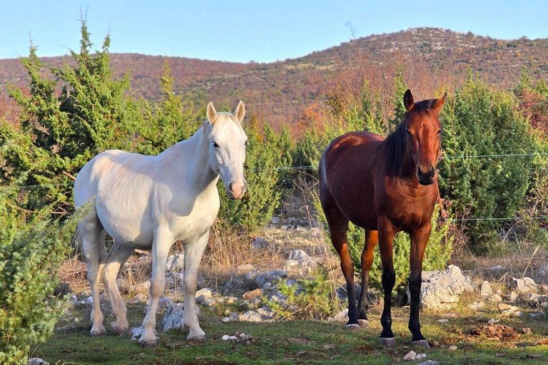 From Split: Imotski Lakes & Dalmatian Hinterland Day Trip