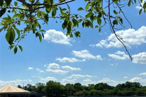 Washington DC : Location de pédalos à Tidal Basin