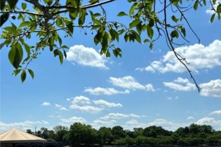Washington DC : Location de pédalos à Tidal Basin