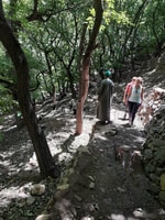 Gita di giorno intera nella valle del nostro - Housity