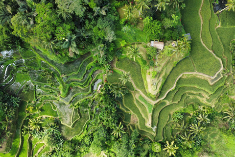 BALI: Sesión de fotos y vídeos, Tour privado personalizado,✅Descubre la cascada del noroeste