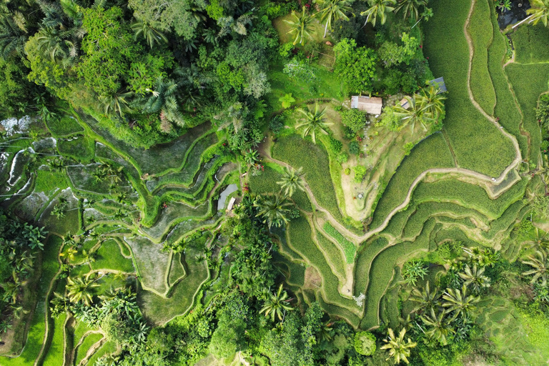 BALI: Foto- und Videoshoot, Private Tour nach Maß,✅Entdecke den Wasserfall im Nordwesten