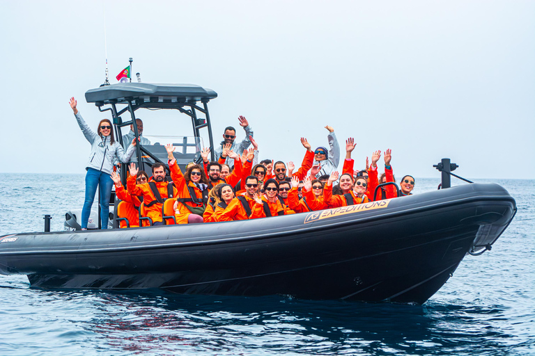 Isla de São Miguel: tour en barco por la costa norte salvajeRecorrido por la costa salvaje del norte - Tarde