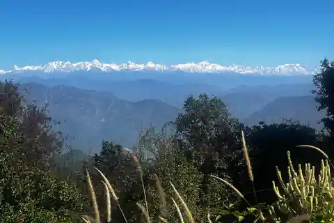 Mussoorie: Benog Sanctuary Day hike