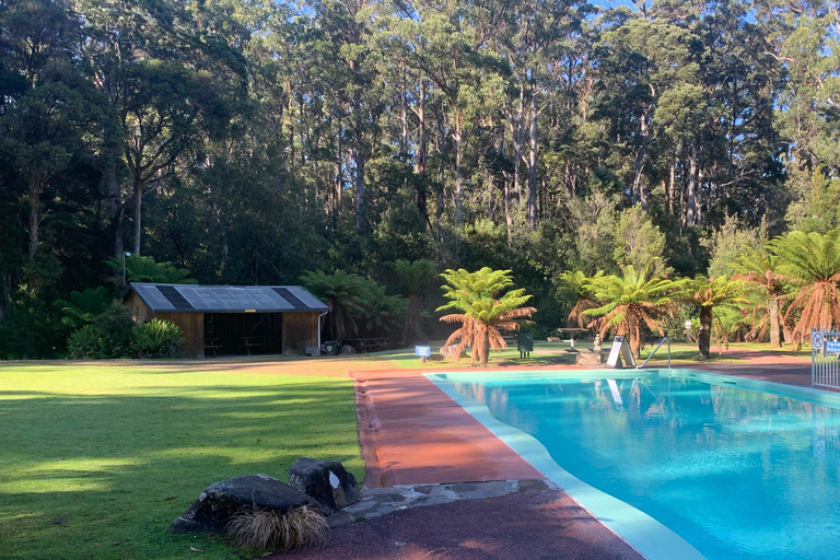 Hobart: Cuevas de Hastings, Paseo Aéreo de Tahune y Excursión al Valle de Huon