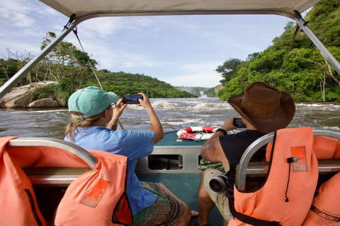 6-Day Kibale, Queen Elizabeth & Murchison Tour