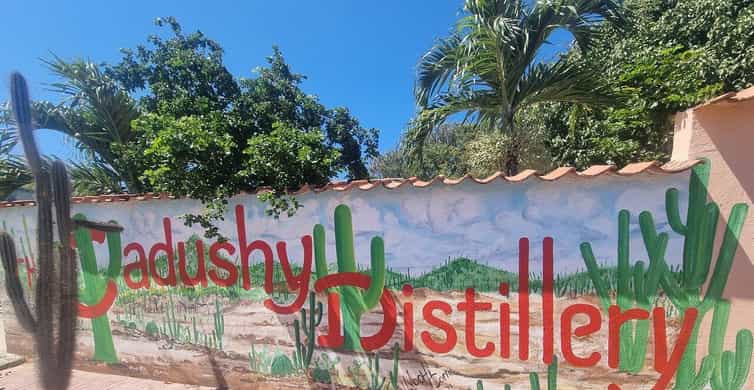 Cultural and Bonaire Highlights Tour | GetYourGuide