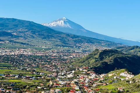 Tenerife: Anaga Hidden Gems Tour with Free Pickup Explore Anaga's hidden gem. Private tour.