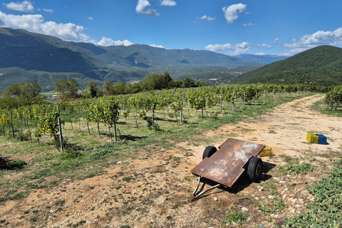 Sofia: Sandanski and Pozar Thermal Escape 9-Day Spa Tour