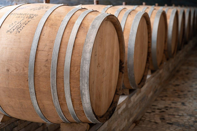 Fergana: Winegarden Winery Tour and Tasting