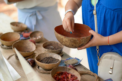 Mayaland Tour Uxmal, Hacienda Yaxcopoil & Cenote