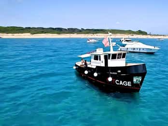 Golfo Aranci : tour en bateau à Tavolara, Molara et Figarolo