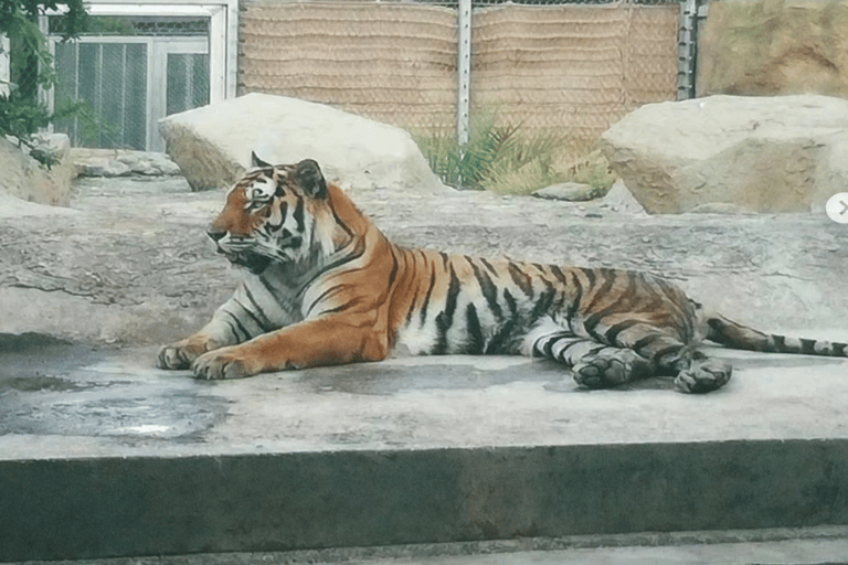 Baku: Fauna and Flora Tour