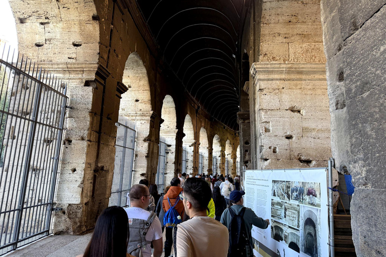 Rome: Colosseum Underground, Forum, and Palatine Hill Tour