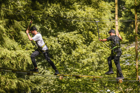 Windermere: Treetop Course (Full Trek)