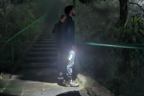 Yogyakarta: Mount Merapi Tour with (Lava Sightseeing) Merapi Volcano Lava Sightseeing (Hiking)