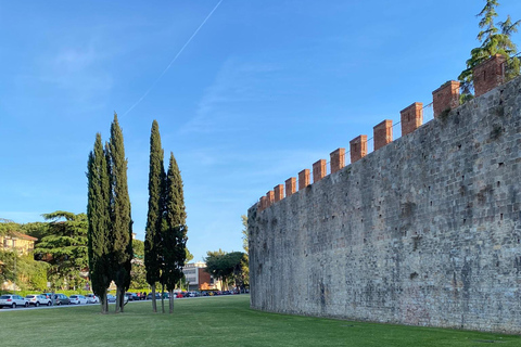 从卢卡或里窝那港口出发的比萨和佛罗伦萨之旅