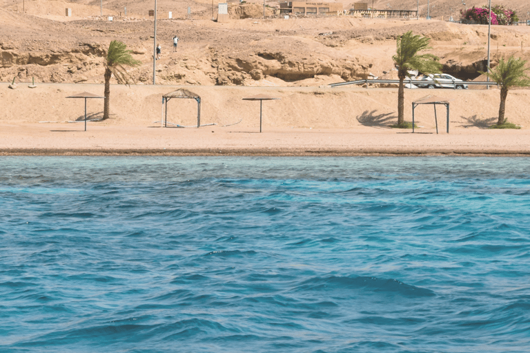 Aqaba: Dive Packages with Kits Start from 1 day to 5 days1 Day - 2 Dives