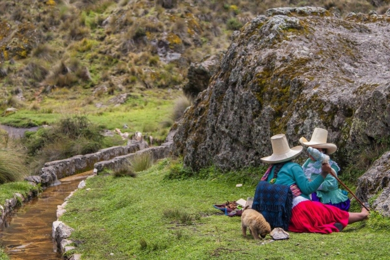 Cajamarca | Porcón boerderij en Otuzco |