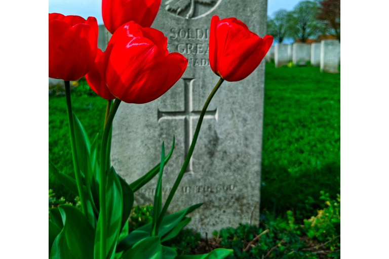 In Flanders Fields: Full-Day Ypres Battlefield Experience