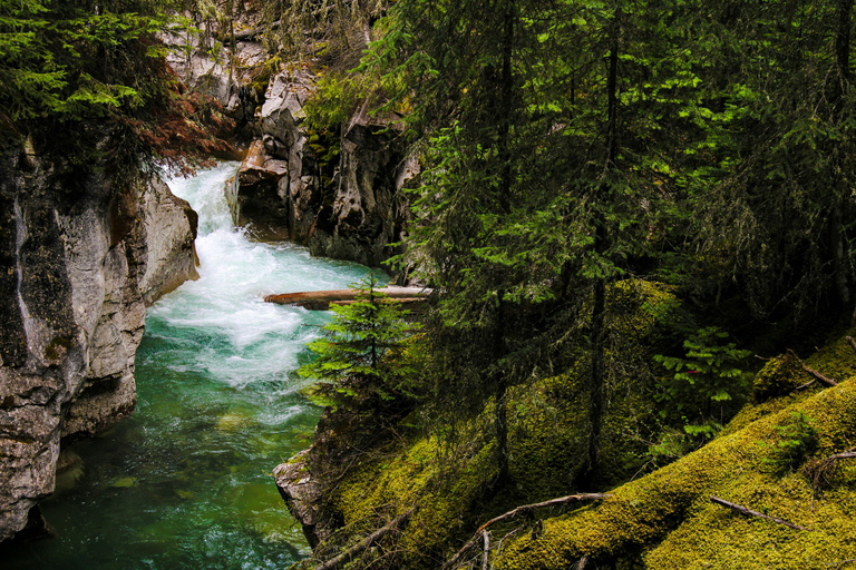 Private Moraine Lake, Lake Louise, Takakaw Fall Premium Tour