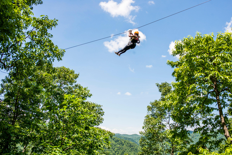 Saluda: Zipline Canopy Tour with Rappels and Skybridge