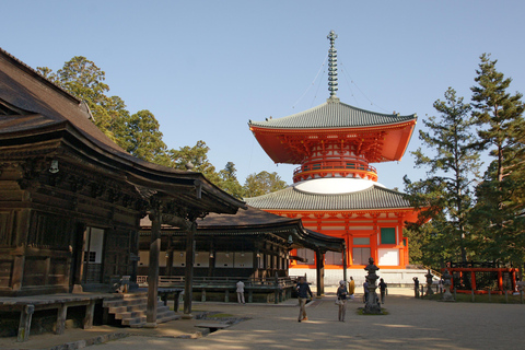 Kyoto/Osaka;Mount Koya & Wakayam Private Day Trip with Guide