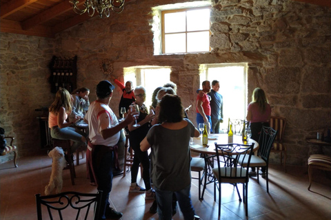 Galicia: Bodega Corisca Winery Tour and Wine Tasting