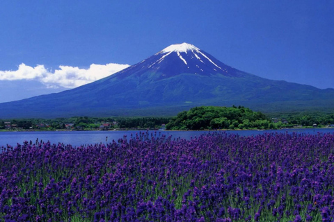 Tokyo: Mt Fuji Full-Day Private Tour of Top Best Places