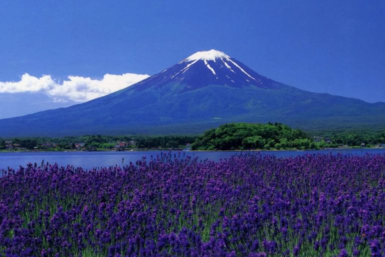 Tokyo: Mt Fuji Full-Day Private Tour of Top Best Places