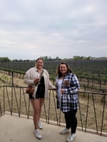 Visite et histoire du vin - Hizvo