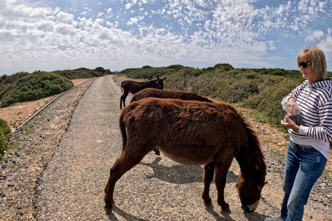 Cyprus Karpaz Peninsula Tour with Guide