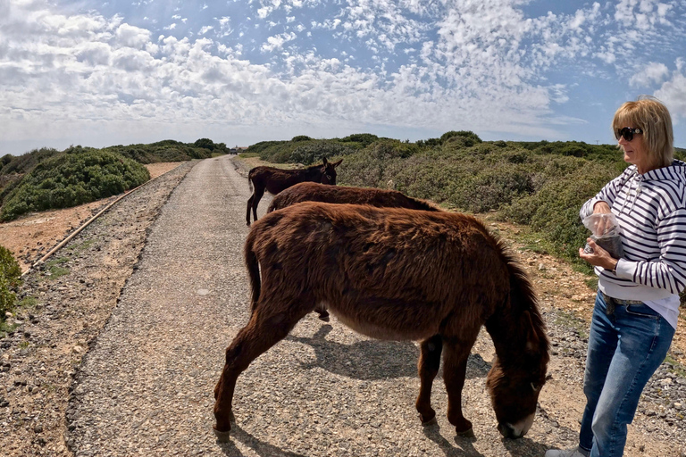 Cyprus Karpaz Peninsula Tour with Guide
