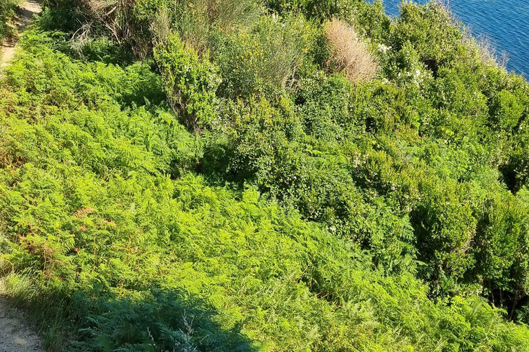 Capo di Rodon, castello, tour di un giorno di snorkeling/spiaggia!