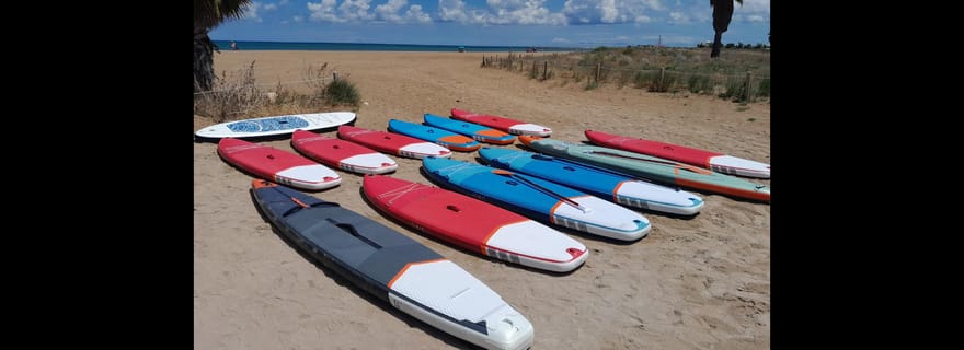 Paddle Surf Delivery Boards