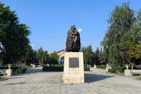 Walking Tour with Wine & Soviet Flea Market Visit - Chisinau