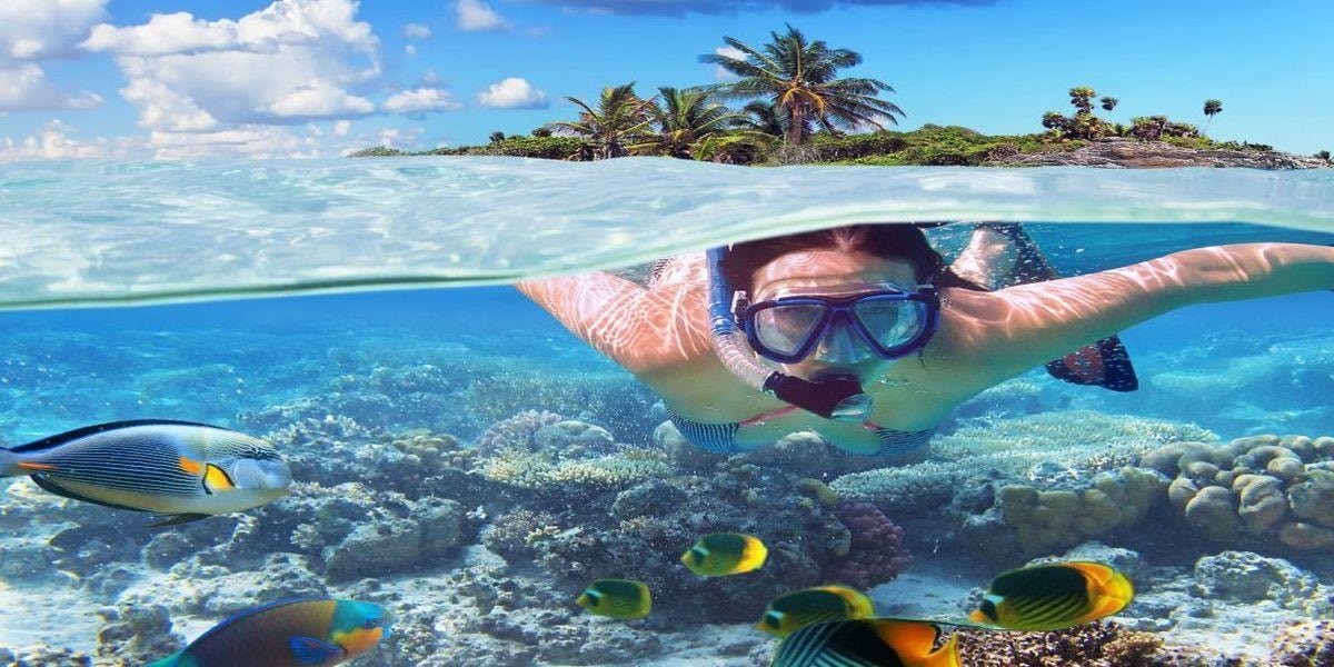 Punta Cana: Catamaran Cruise and Snorkeling | GetYourGuide