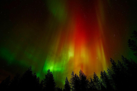 Oulu: Starguaranteed Northern Lights Mobile Chase Oulu: Northern Lights Hunt
