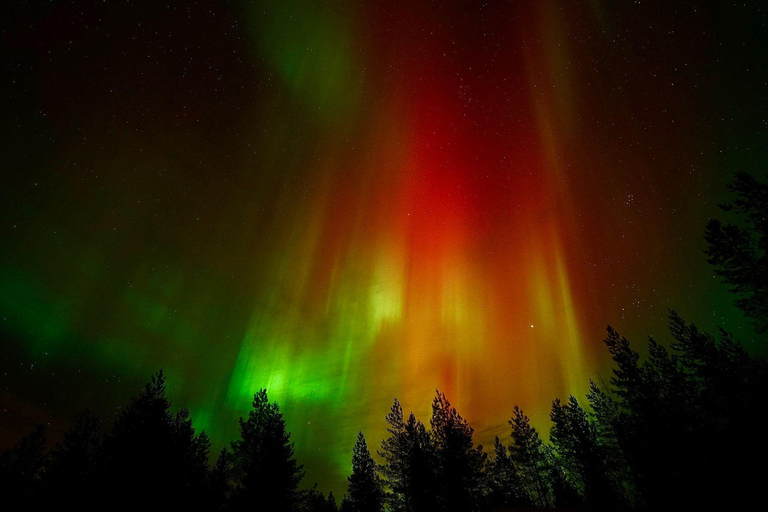 Oulu: Starguaranteed Northern Lights Mobile Chase Oulu: Northern Lights Hunt