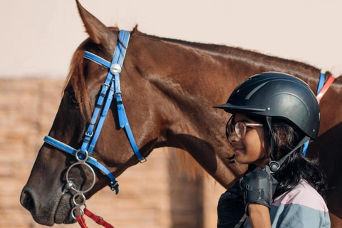 الدوحة: ركوب الخيل العربي في صحراء قطر مع النقل
