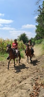 Tour de 2 días: paseando a caballo / pirámides de Tucume - Housity