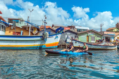 Kayak tour - Animal viewing, swimming and secret beach